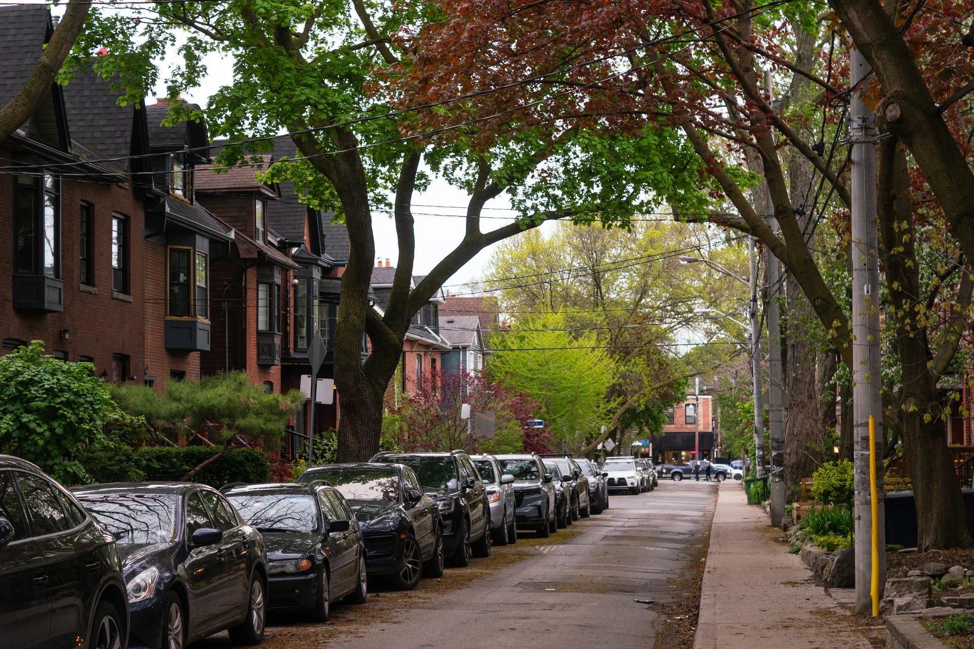 A tree-lined Toronto residential street — the market BrokerFold is built for
