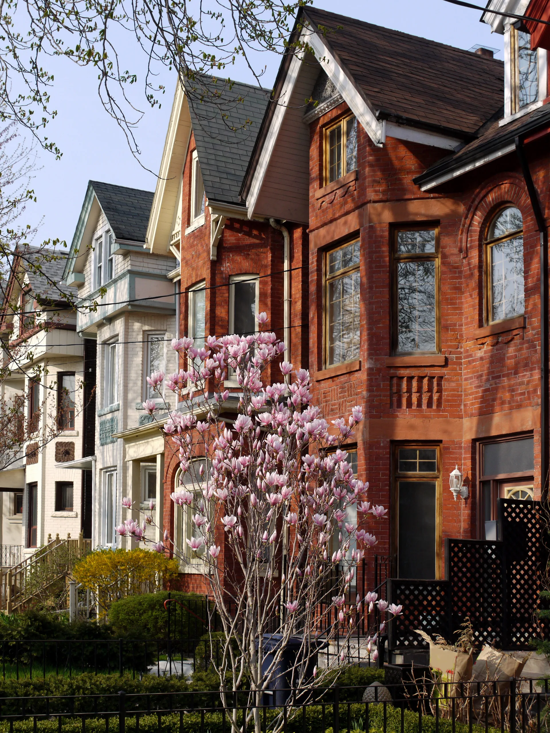 Victorian houses on a tree-lined residential street — the community-level subject a neighbourhood page covers